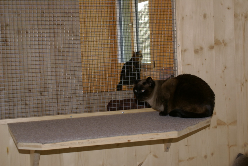 DSC00079.jpg